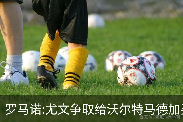罗马诺:尤文争取给沃尔特马德加买断条款 曼联对齐尔克泽要价很高